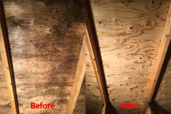 water damage restoration service Galeville